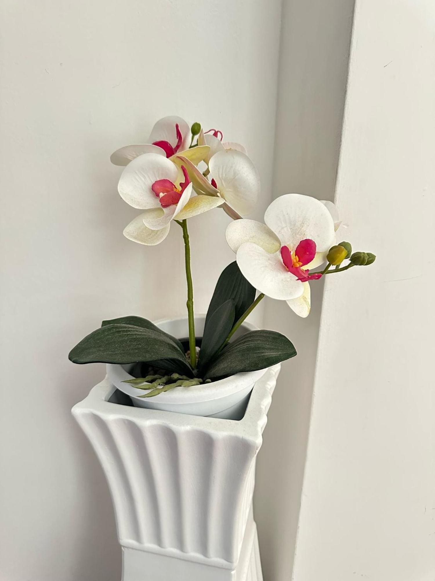 Trastevere Rome'S Heart Charming & Cozy Appartment 3 Bagian luar foto