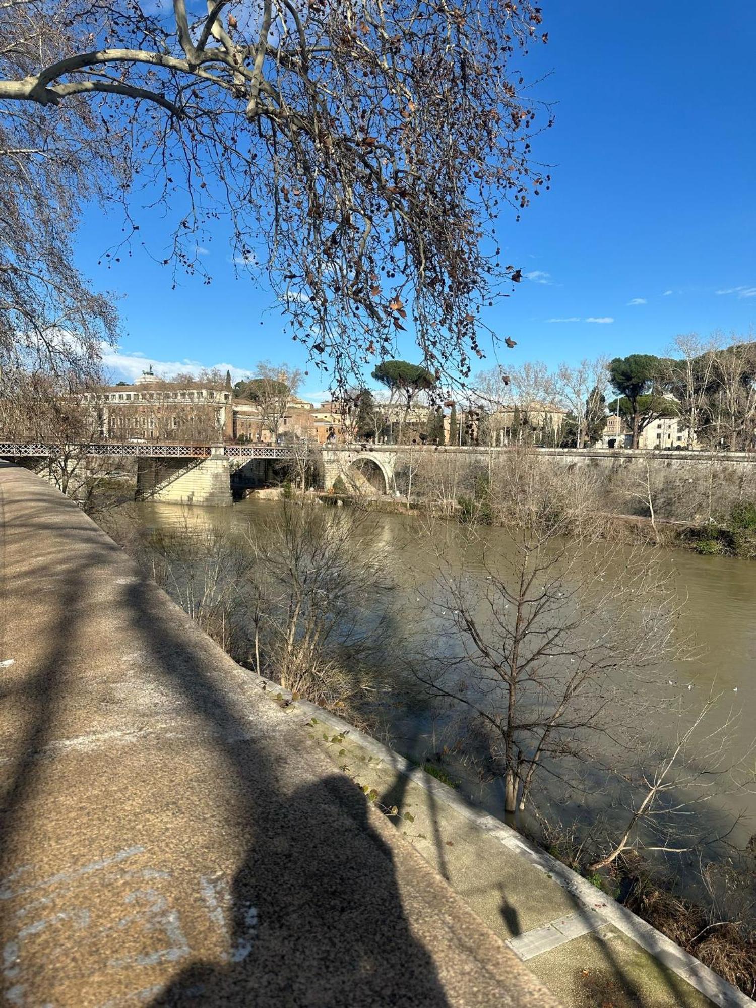 Trastevere Rome'S Heart Charming & Cozy Appartment 3 Bagian luar foto